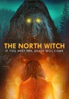  Северная ведьма смотреть онлайн (2024) 