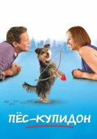  Пес-купидон смотреть онлайн (2012) 
