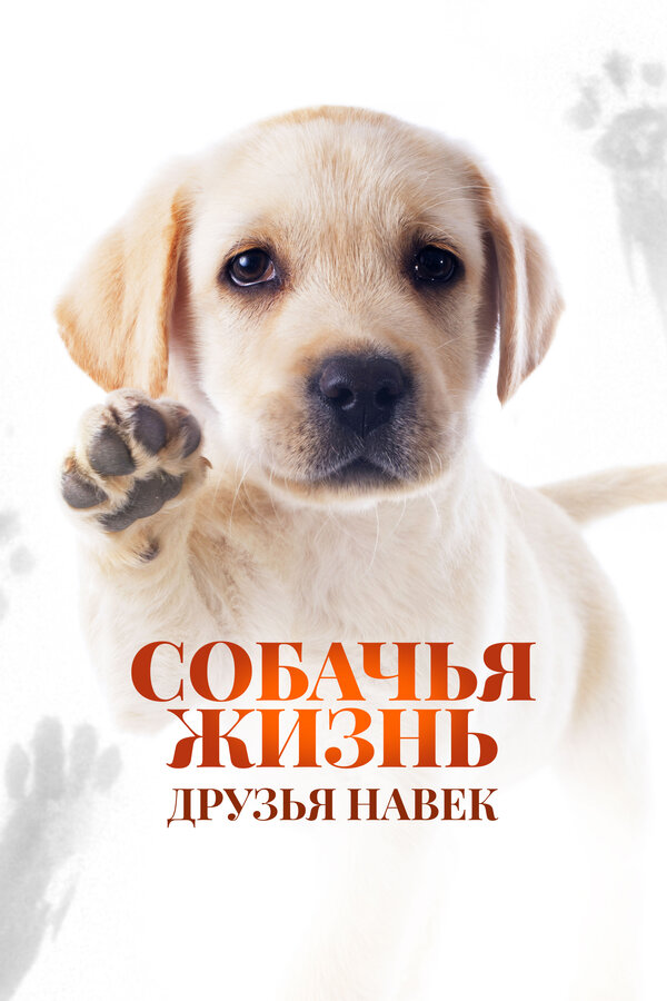  Собачья жизнь: Друзья навек смотреть онлайн (2023) 