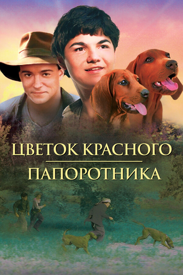  Цветок Красного папоротника смотреть онлайн (2003) 
